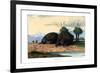 Echidna, 1860-null-Framed Giclee Print