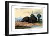 Echidna, 1860-null-Framed Giclee Print