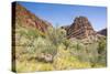 Echidna Chasm Walk-Michael Runkel-Stretched Canvas