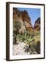 Echidna Chasm Walk-Michael Runkel-Framed Photographic Print