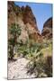 Echidna Chasm Walk-Michael Runkel-Mounted Photographic Print