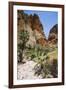 Echidna Chasm Walk-Michael Runkel-Framed Photographic Print