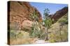 Echidna Chasm Walk-Michael Runkel-Stretched Canvas