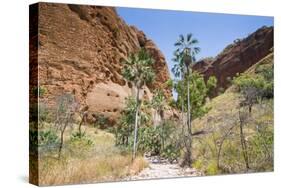 Echidna Chasm Walk-Michael Runkel-Stretched Canvas