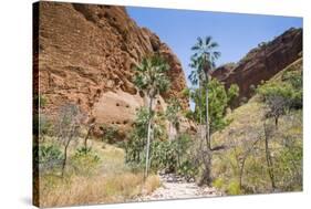 Echidna Chasm Walk-Michael Runkel-Stretched Canvas