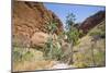 Echidna Chasm Walk-Michael Runkel-Mounted Photographic Print