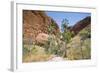 Echidna Chasm Walk-Michael Runkel-Framed Photographic Print