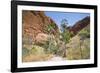 Echidna Chasm Walk-Michael Runkel-Framed Photographic Print