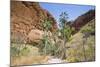 Echidna Chasm Walk-Michael Runkel-Mounted Photographic Print