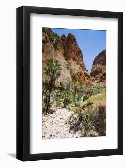 Echidna Chasm Walk-Michael Runkel-Framed Photographic Print