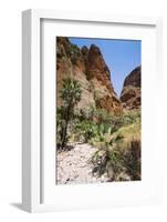 Echidna Chasm Walk-Michael Runkel-Framed Photographic Print