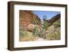 Echidna Chasm Walk-Michael Runkel-Framed Photographic Print