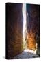 Echidna Chasm-Michael Runkel-Stretched Canvas