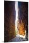 Echidna Chasm-Michael Runkel-Mounted Photographic Print