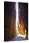 Echidna Chasm-Michael Runkel-Stretched Canvas