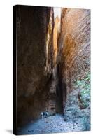 Echidna Chasm-Michael Runkel-Stretched Canvas