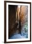 Echidna Chasm-Michael Runkel-Framed Photographic Print