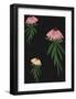 Echinacea Blackboard-Lisa Stickley-Framed Giclee Print