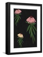 Echinacea Blackboard-Lisa Stickley-Framed Giclee Print