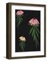 Echinacea Blackboard-Lisa Stickley-Framed Giclee Print