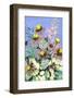 Echinacea Blue Sky-Ania Zwara-Framed Photographic Print