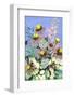 Echinacea Blue Sky-Ania Zwara-Framed Photographic Print