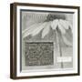 Echinacea I-Kory Fluckiger-Framed Giclee Print