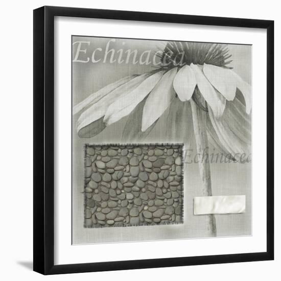 Echinacea I-Kory Fluckiger-Framed Giclee Print