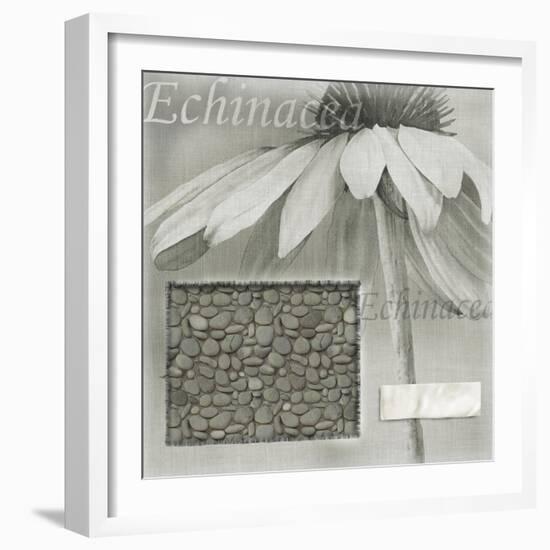 Echinacea I-Kory Fluckiger-Framed Giclee Print