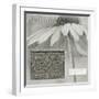 Echinacea I-Kory Fluckiger-Framed Giclee Print