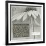 Echinacea I-Kory Fluckiger-Framed Giclee Print