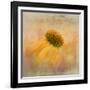 Echinacea in Yellow-Gaille Gray-Framed Photographic Print