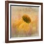 Echinacea in Yellow-Gaille Gray-Framed Photographic Print