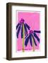 Echinacea  Pink-Ania Zwara-Framed Photographic Print