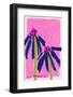 Echinacea  Pink-Ania Zwara-Framed Photographic Print