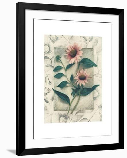 Echinacea-Julie Nightingale-Framed Art Print