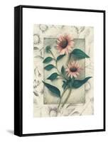 Echinacea-Julie Nightingale-Framed Stretched Canvas