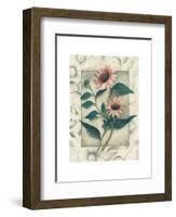 Echinacea-Julie Nightingale-Framed Art Print