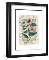 Echinacea-Julie Nightingale-Framed Art Print