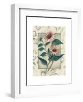 Echinacea-Julie Nightingale-Framed Art Print