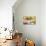 Echinancea Study II-Jason Johnson-Photographic Print displayed on a wall