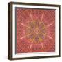 echinoculus-Rex Ray-Framed Art Print