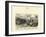 Echinoderms, C.1860-null-Framed Giclee Print
