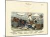 Echinoderms, C.1860-null-Mounted Giclee Print