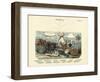 Echinoderms, C.1860-null-Framed Giclee Print