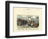 Echinoderms, C.1860-null-Framed Giclee Print