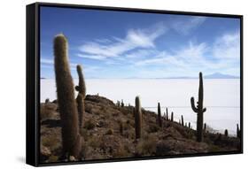 Echinopsis Atacamensis Cacti on Incahuasi Island, Salar De Uyuni , Bolivia-James Brunker-Framed Stretched Canvas