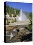 Echinus Geyser, Erupts Every Hour, Norris Basin, Yellowstone National Park, Wyoming, USA-Anthony Waltham-Stretched Canvas