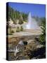 Echinus Geyser, Erupts Every Hour, Norris Basin, Yellowstone National Park, Wyoming, USA-Anthony Waltham-Stretched Canvas