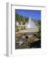 Echinus Geyser, Erupts Every Hour, Norris Basin, Yellowstone National Park, Wyoming, USA-Anthony Waltham-Framed Photographic Print